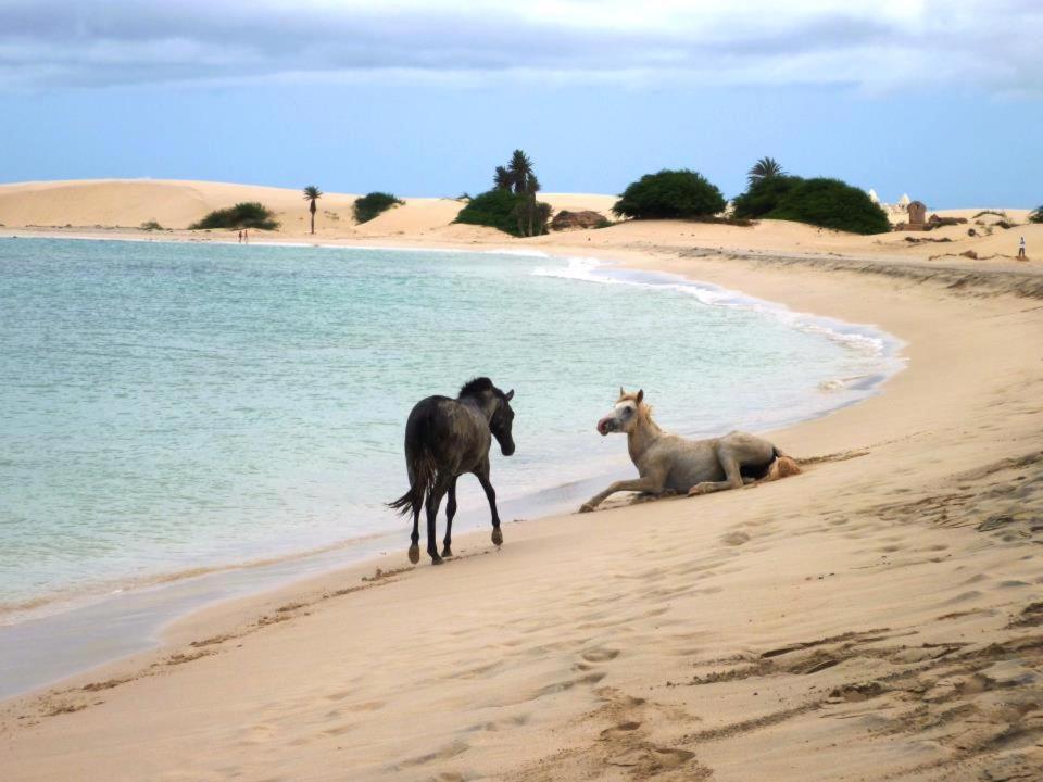 Vilas Praia De Chaves - Sol Y Mar Standart Rabil Exterior foto